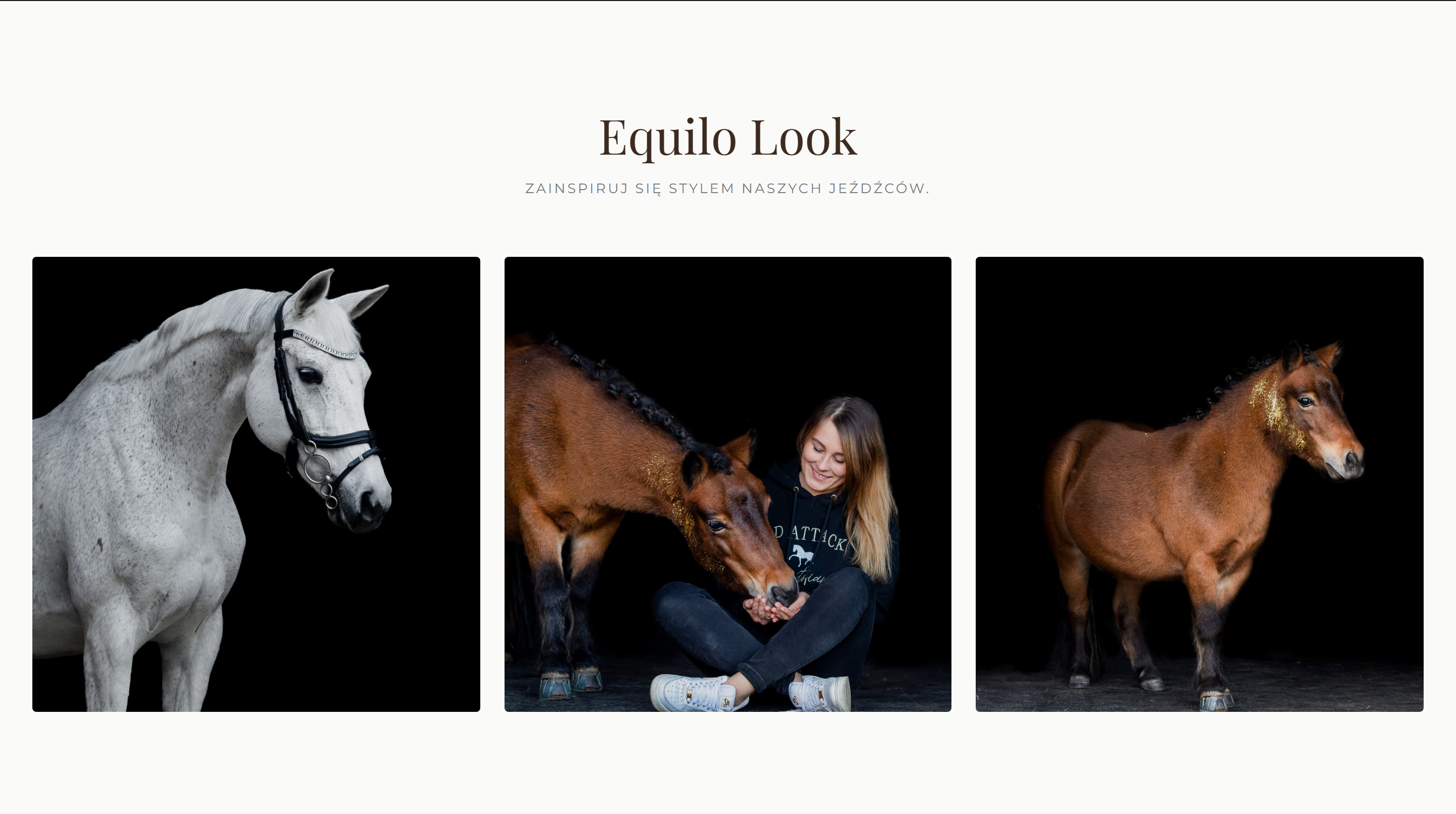 Equilo — zrzut 2