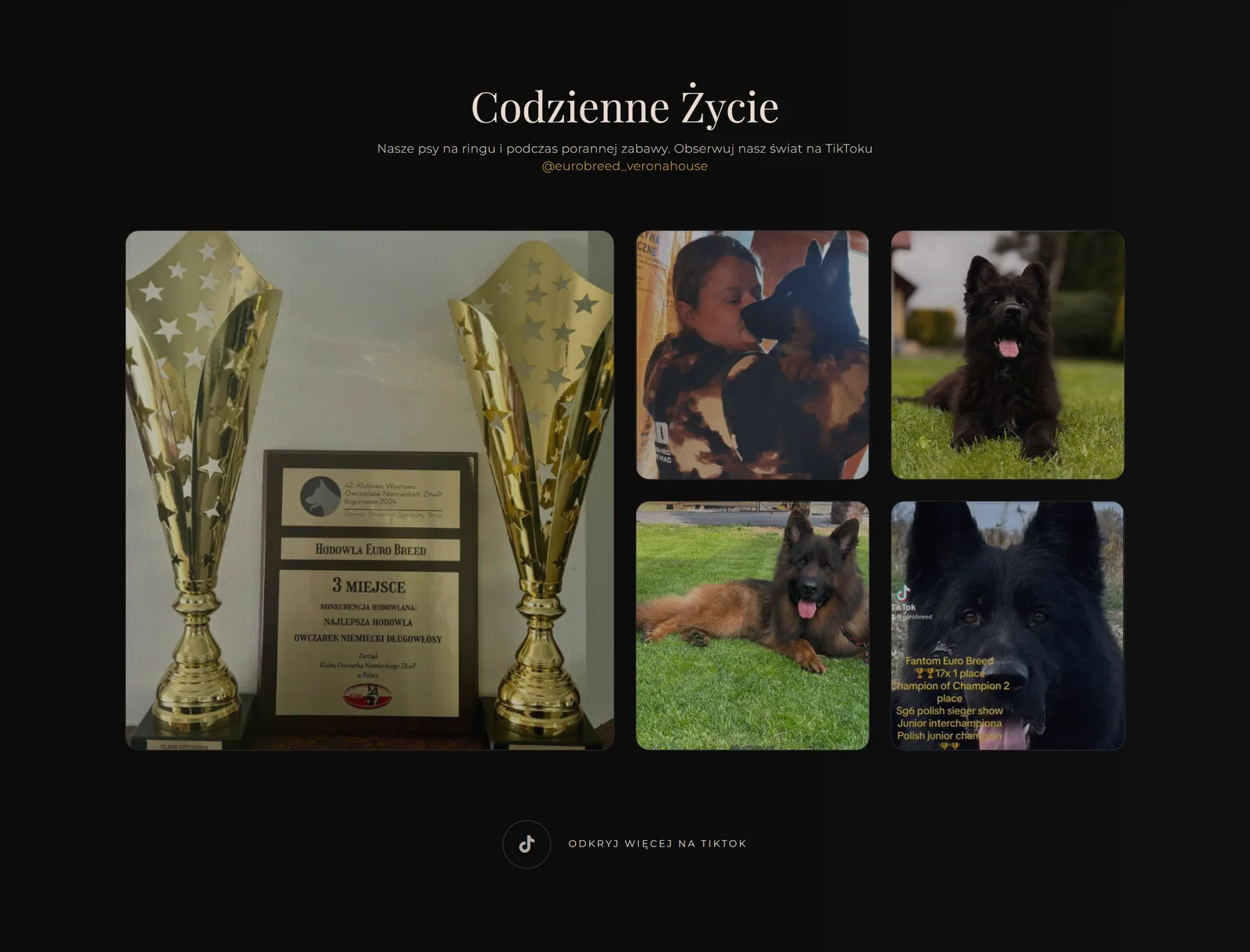 Euro Breed & Team Verona House — zrzut 2